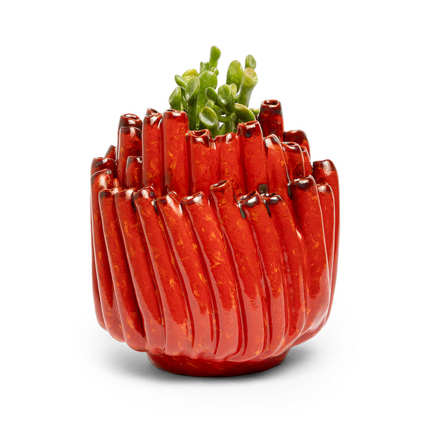 Porta Piantina Anemone