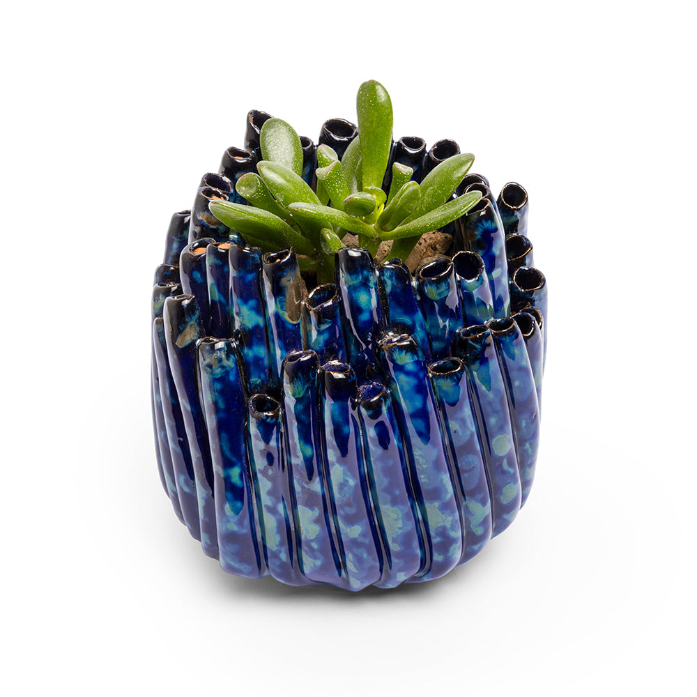 Porta Piantina Anemone